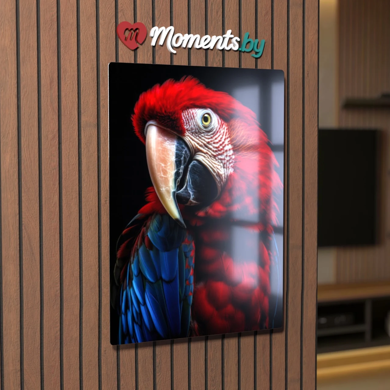 Красный попугай ара крупным планом на черном фоне с яркими синими и алыми перьями — картина на металле в современном интерьере